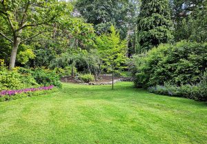 Optimiser l'expérience du jardin à Coincourt